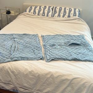 Garnet Hill stonewashed Organic-Cotton Euro Shams